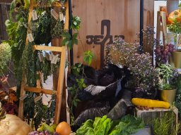 20250928 - Święto Dziękczynienia_06